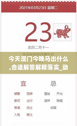 今天澳门今晚马出什么,合适解答解释落实_动感集67.239