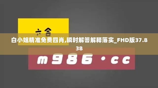 白小姐精准免费四肖,瞬时解答解释落实_FHD版37.838