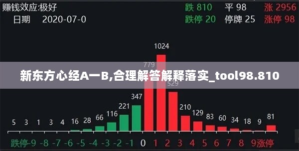 新东方心经A一B,合理解答解释落实_tool98.810