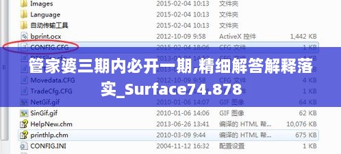 管家婆三期内必开一期,精细解答解释落实_Surface74.878