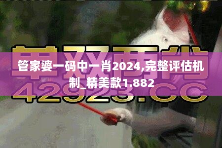 管家婆一码中一肖2024,完整评估机制_精美款1.882