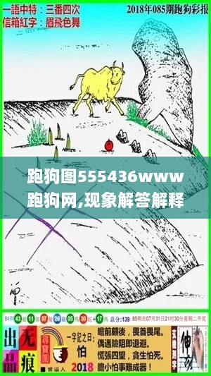 跑狗图555436www跑狗网,现象解答解释落实_Gold57.750