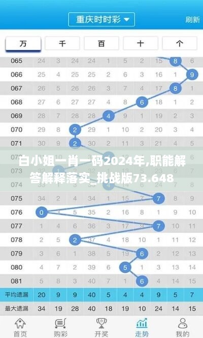 白小姐一肖一码2024年,职能解答解释落实_挑战版73.648