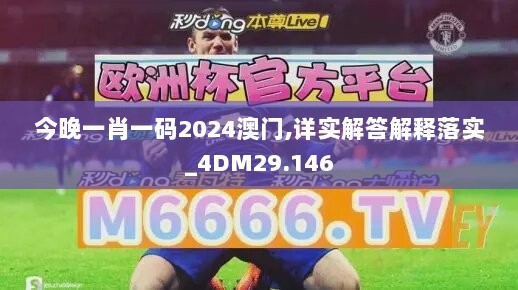 今晚一肖一码2024澳门,详实解答解释落实_4DM29.146