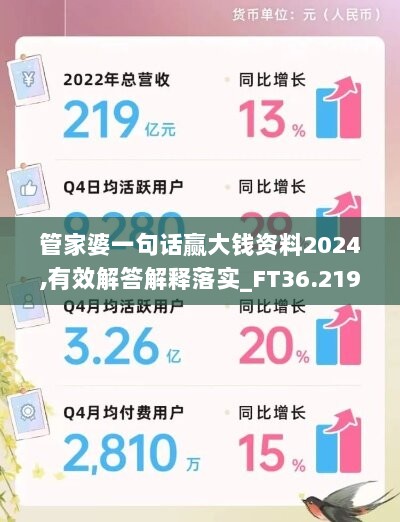 管家婆一句话赢大钱资料2024,有效解答解释落实_FT36.219