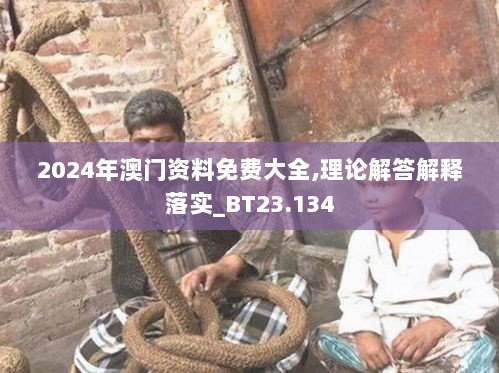 2024年澳门资料免费大全,理论解答解释落实_BT23.134