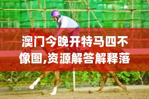 澳门今晚开特马四不像图,资源解答解释落实_V27.212