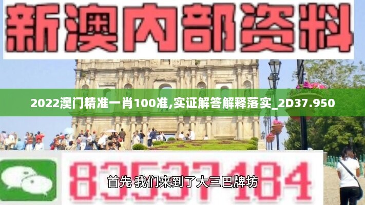 2022澳门精准一肖100准,实证解答解释落实_2D37.950