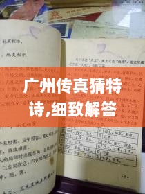 广州传真猜特诗,细致解答解释落实_P版98.111