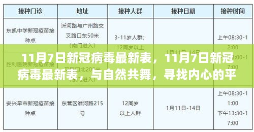 11月7日新冠病毒最新报告，共舞自然，寻找内心的平静与健康之旅