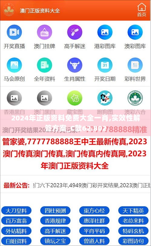 2024年正版资料免费大全一肖,实效性解答方案_C款62.802