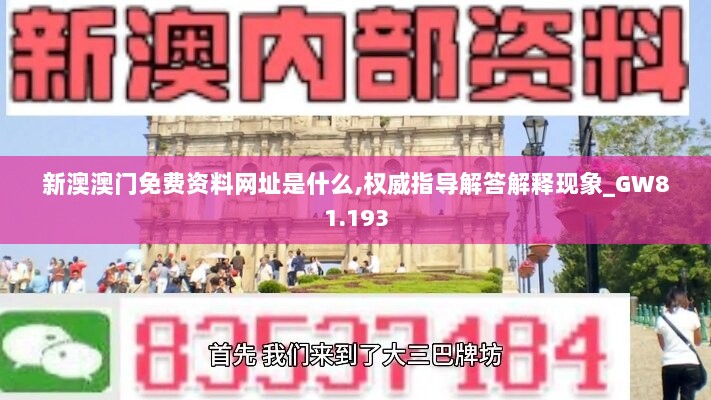 新澳澳门免费资料网址是什么,权威指导解答解释现象_GW81.193