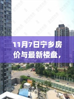 宁乡之行，寻找宁静与新居的完美旅程，11月7日房价与最新楼盘概览