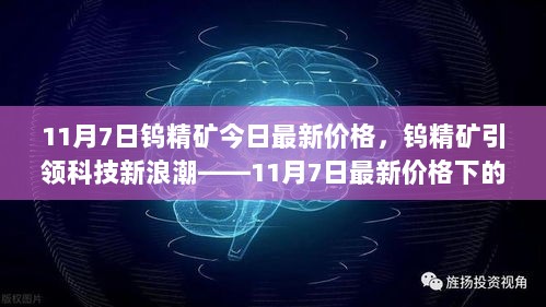 钨精矿引领科技新浪潮，11月7日最新价格下的高科技产品体验与展望