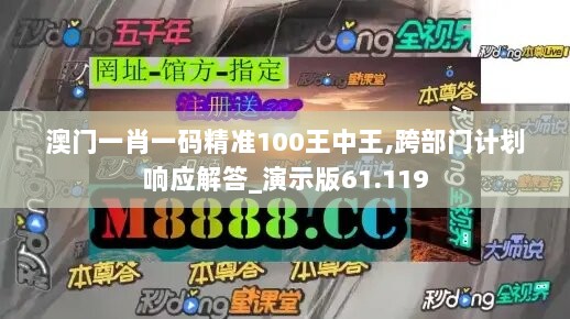 澳门一肖一码精准100王中王,跨部门计划响应解答_演示版61.119