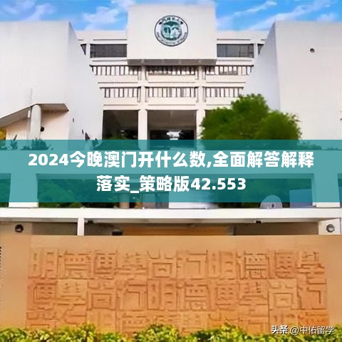 2024今晚澳门开什么数,全面解答解释落实_策略版42.553