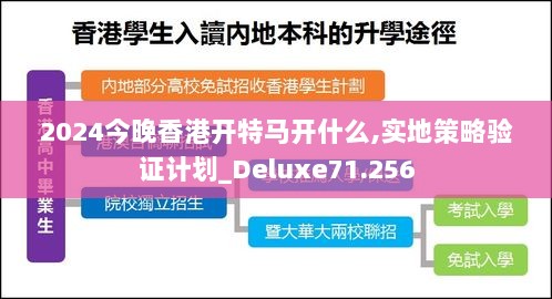 2024今晚香港开特马开什么,实地策略验证计划_Deluxe71.256