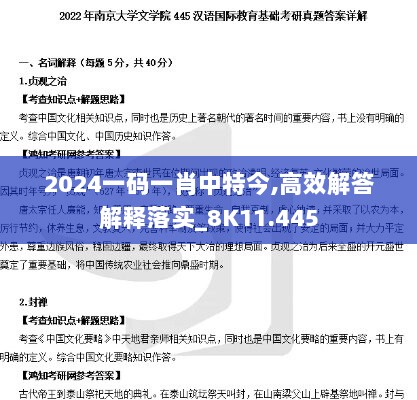 2024一码一肖中特今,高效解答解释落实_8K11.445