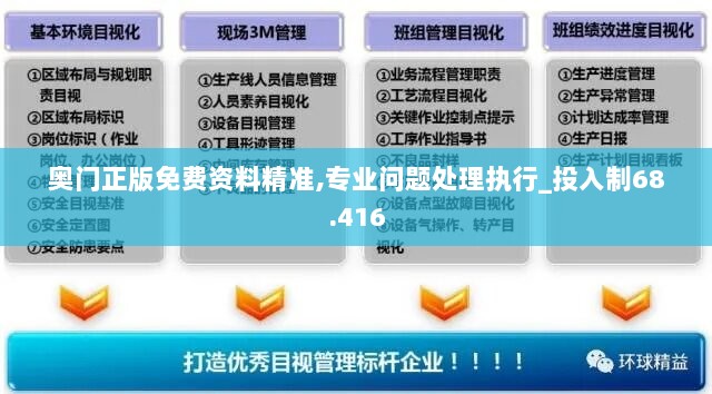 奥门正版免费资料精准,专业问题处理执行_投入制68.416