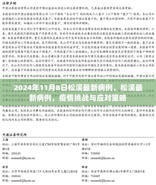 2024年松溪最新病例，疫情挑战与应对策略