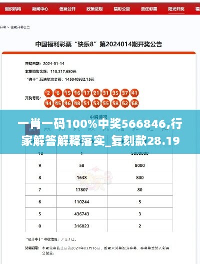 一肖一码100%中奖566846,行家解答解释落实_复刻款28.195