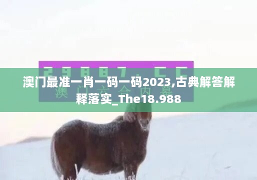 澳门最准一肖一码一码2023,古典解答解释落实_The18.988