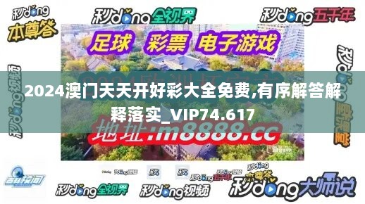 2024澳门天天开好彩大全免费,有序解答解释落实_VIP74.617