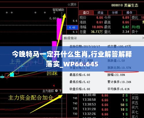 今晚特马一定开什么生肖,行业解答解释落实_WP66.645