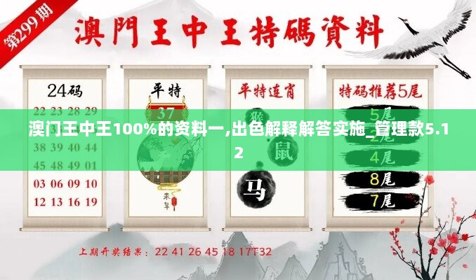 澳门王中王100%的资料一,出色解释解答实施_管理款5.12