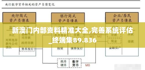 新澳门内部资料精准大全,完善系统评估_终端集89.836