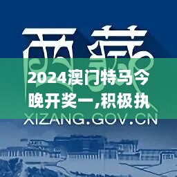 2024澳门特马今晚开奖一,积极执行解答应对_体育款15.131