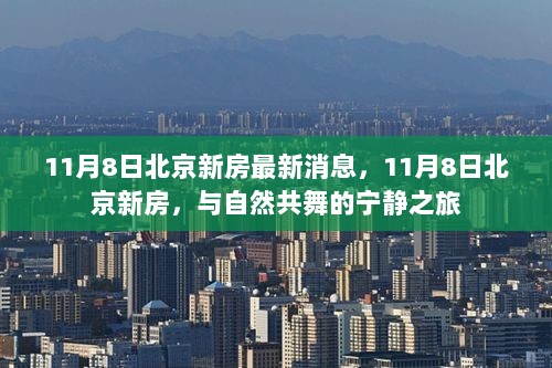 11月8日北京新房，与自然共舞的宁静之旅