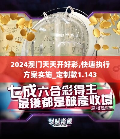 2024澳门天天开好彩,快速执行方案实施_定制款1.143