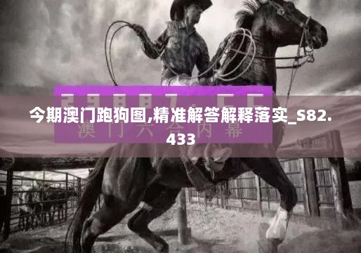 今期澳门跑狗图,精准解答解释落实_S82.433