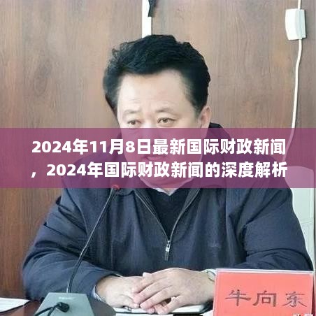 2024年11月8日国际财政新闻深度解析与展望