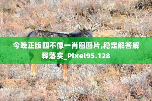 今晚正版四不像一肖图图片,稳定解答解释落实_Pixel95.128