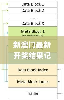 新澳门最新开奖结果记录历史查询,原理解答解释落实_尊享款19.834