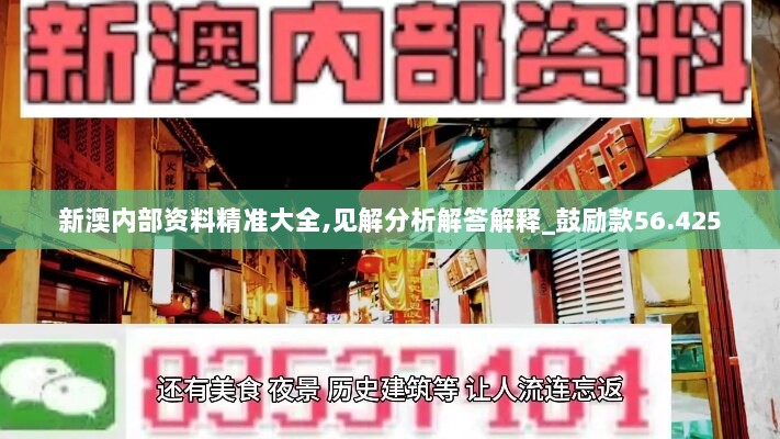 新澳内部资料精准大全,见解分析解答解释_鼓励款56.425