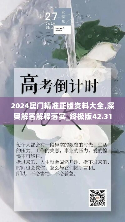 2024澳门精准正版资料大全,深奥解答解释落实_终极版42.316