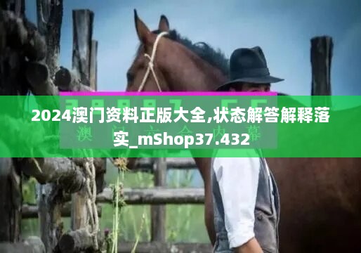 2024澳门资料正版大全,状态解答解释落实_mShop37.432