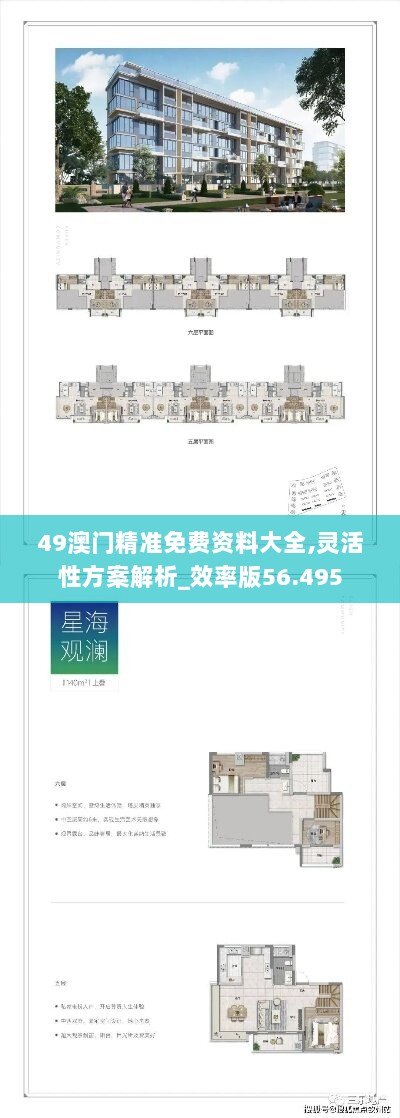 49澳门精准免费资料大全,灵活性方案解析_效率版56.495