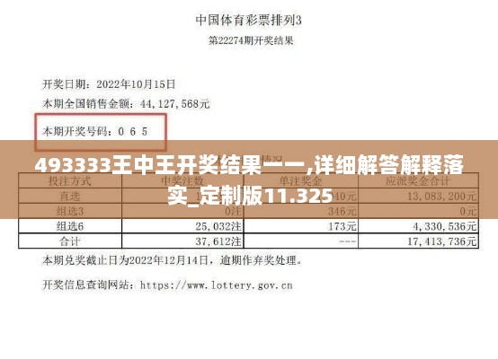 493333王中王开奖结果一一,详细解答解释落实_定制版11.325