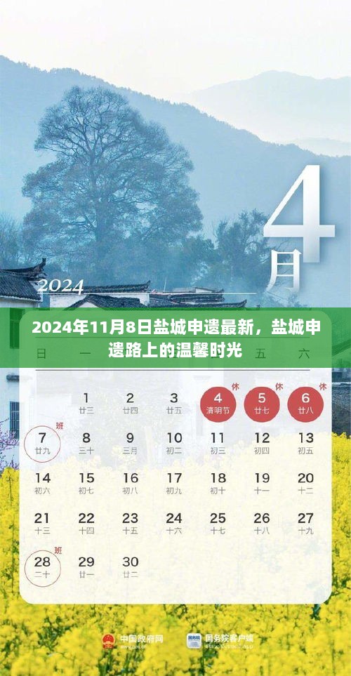 盐城申遗路上的温馨时光，2024年11月8日最新进展