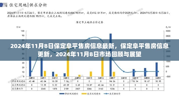 2024年11月8日保定阜平最新售房信息回顾与展望