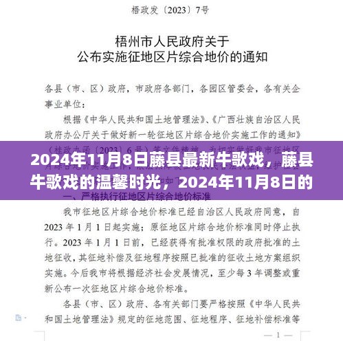 2024年11月8日藤县牛歌戏的温馨记忆与欢乐时光