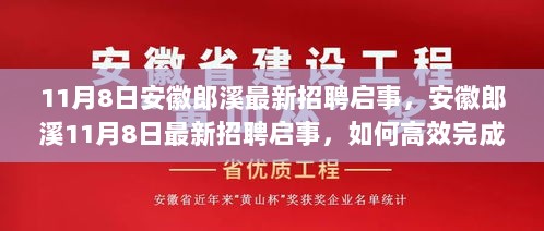 11月8日安徽郎溪最新招聘启事，高效完成求职全流程步骤指南