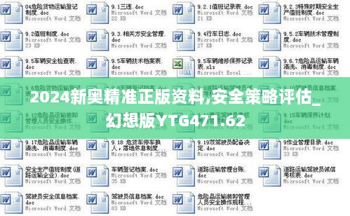 2024新奥精准正版资料,安全策略评估_幻想版YTG471.62