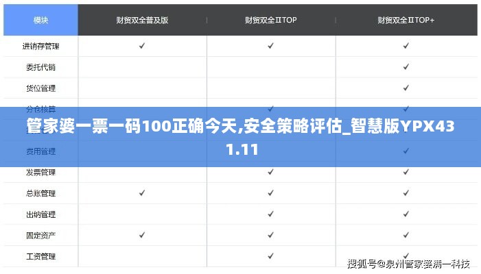 管家婆一票一码100正确今天,安全策略评估_智慧版YPX431.11