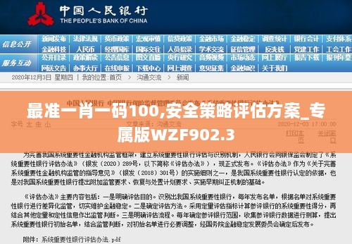 最准一肖一码100,安全策略评估方案_专属版WZF902.3