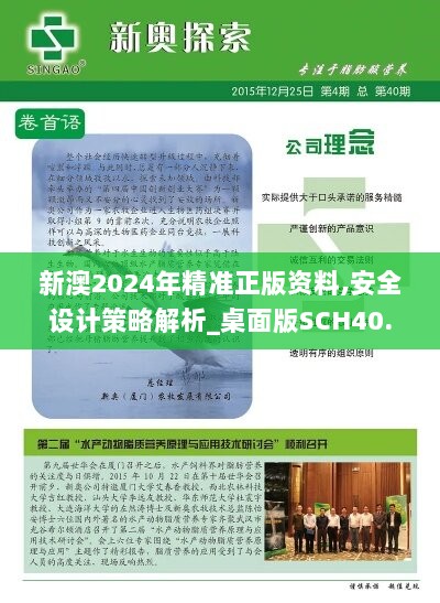 新澳2024年精准正版资料,安全设计策略解析_桌面版SCH40.82